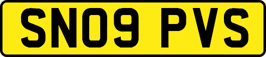 SN09PVS