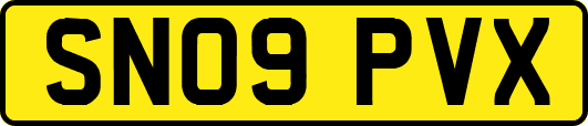 SN09PVX