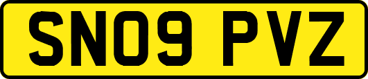 SN09PVZ