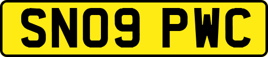 SN09PWC