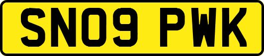 SN09PWK