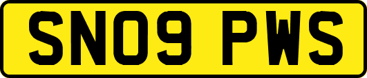 SN09PWS