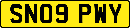 SN09PWY
