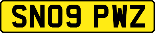 SN09PWZ