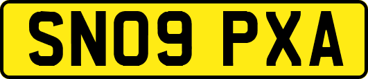 SN09PXA