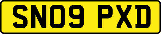 SN09PXD
