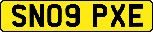SN09PXE