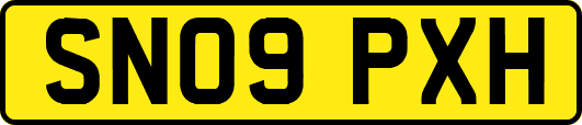 SN09PXH