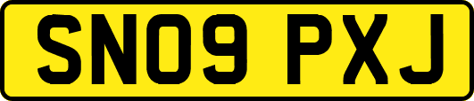 SN09PXJ