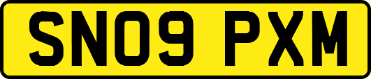 SN09PXM