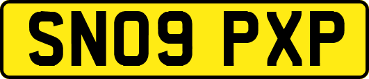 SN09PXP