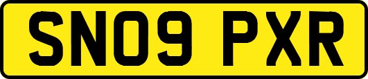 SN09PXR