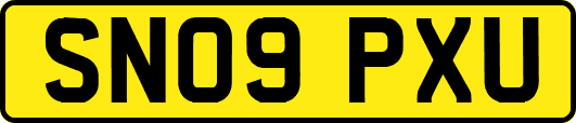 SN09PXU