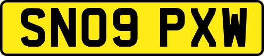 SN09PXW