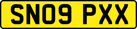 SN09PXX