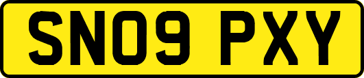SN09PXY