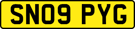 SN09PYG