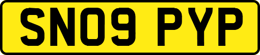 SN09PYP