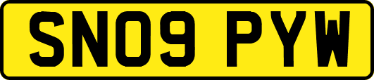 SN09PYW