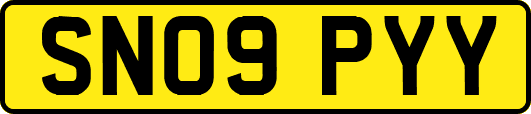 SN09PYY