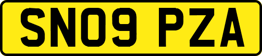 SN09PZA