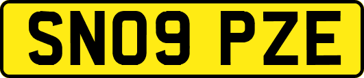 SN09PZE