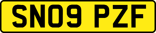 SN09PZF