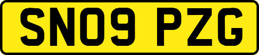 SN09PZG