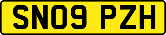 SN09PZH