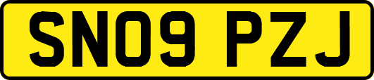 SN09PZJ