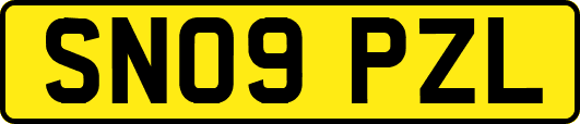 SN09PZL