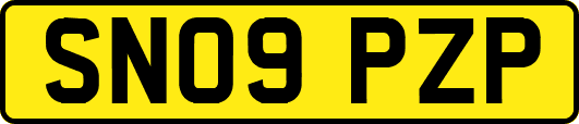 SN09PZP