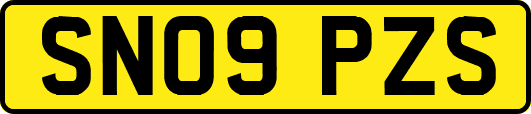 SN09PZS