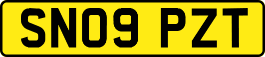 SN09PZT