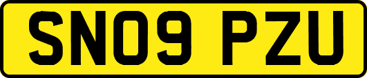 SN09PZU
