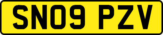 SN09PZV