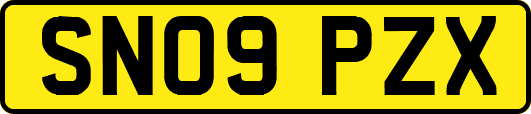 SN09PZX