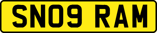 SN09RAM