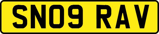 SN09RAV