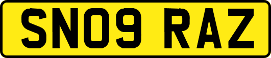SN09RAZ