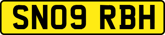 SN09RBH
