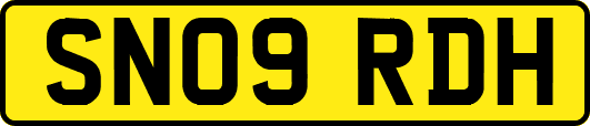 SN09RDH