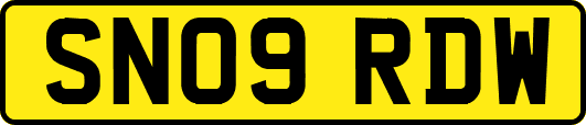 SN09RDW