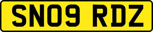 SN09RDZ