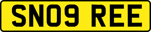 SN09REE