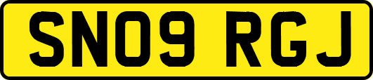 SN09RGJ