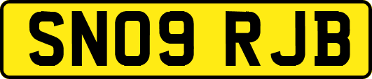 SN09RJB