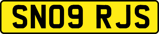 SN09RJS