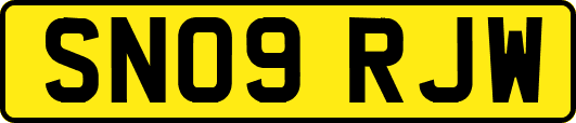 SN09RJW