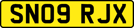 SN09RJX